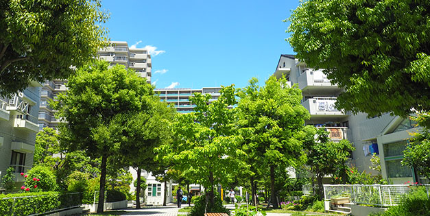 滋賀・京都で町づくりをお考えの市町村の皆様へ「企業誘致」「研究開発誘致」「土地開発」橋本不動産